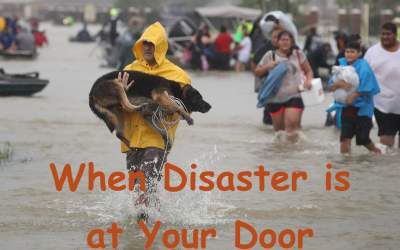 When Disaster Is At Your Door